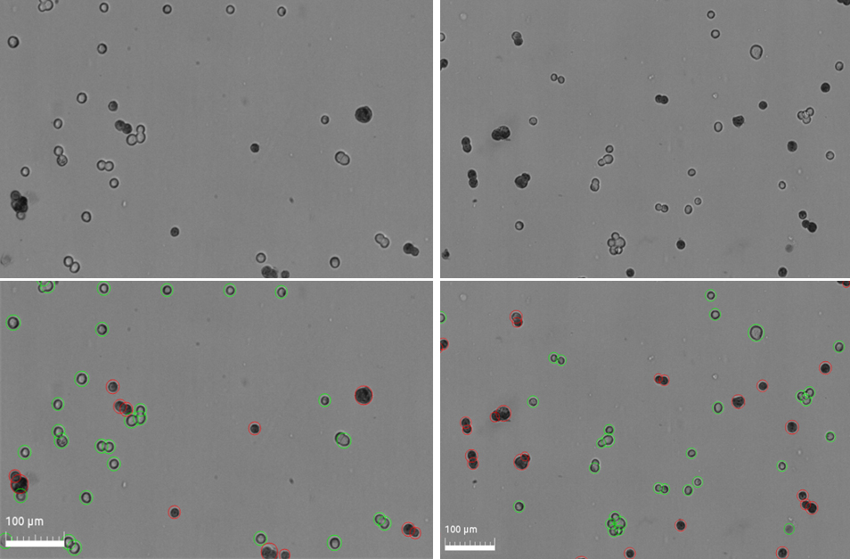 Aspc Logos Biosystems Advanced Imaging Solutions For Research