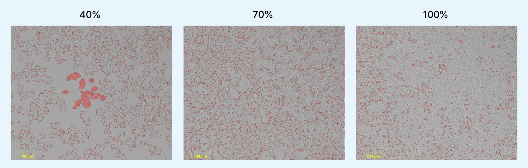 Cell Culture Confluence Measurement for Reproducible Experiments ...