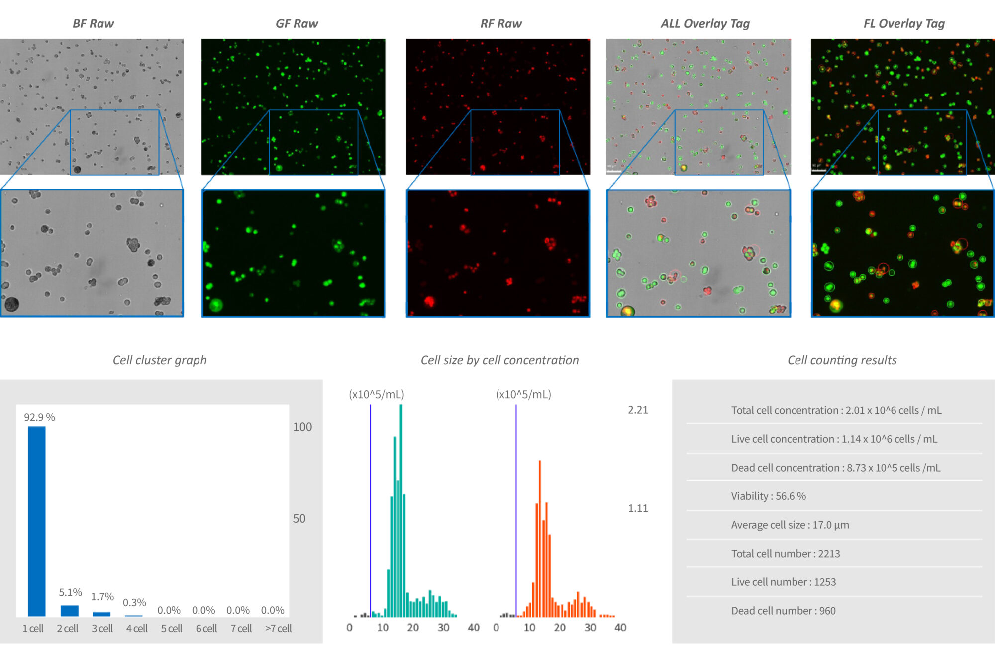 Example of inadequately prepped cell sample for single-cell sequencing