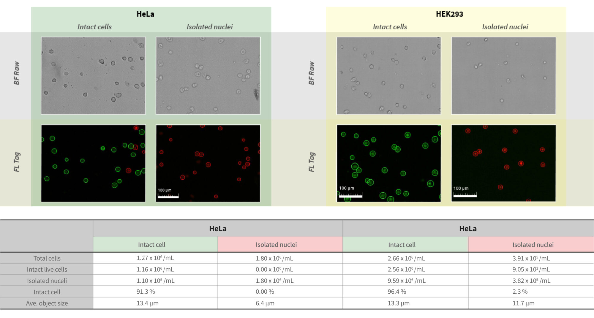 Evaluation of isolated nuclei and possible results