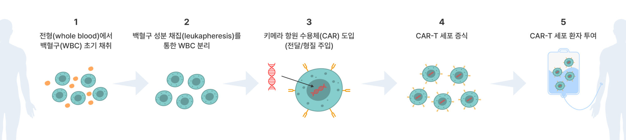 CAR-T 세포 치료제 제조과정