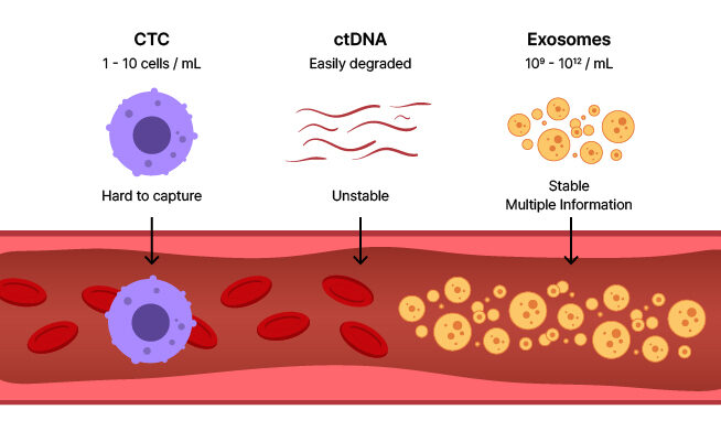Comparison of Liquid Biopsy Biomarkers: CTCs, ctDNA, and Exosomes