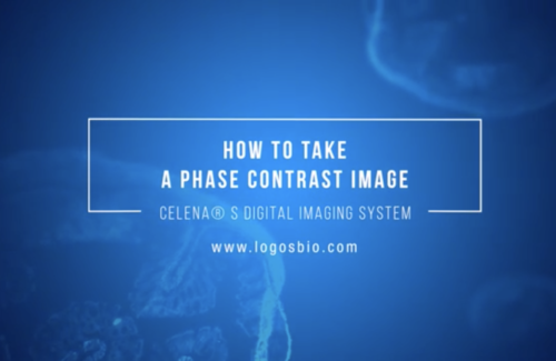 How to take a phase contrast image with the CELENA® S