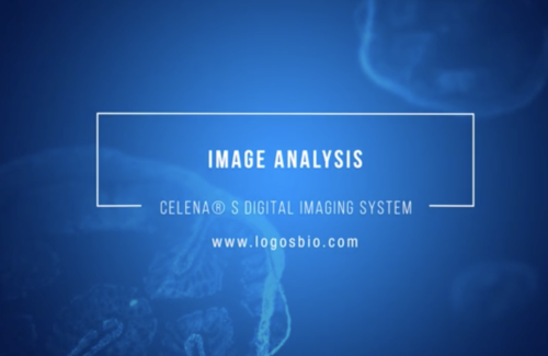 Image analysis with the CELENA® S