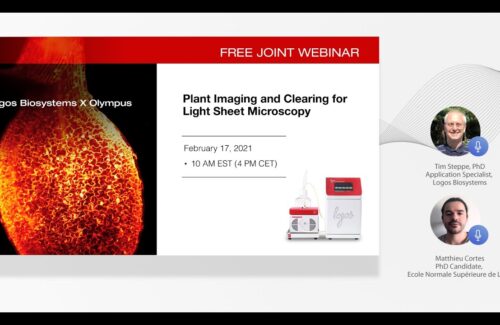 Joint Webinar with Olympus 2. Plant Imaging and Clearing for Light Sheet Microscopy