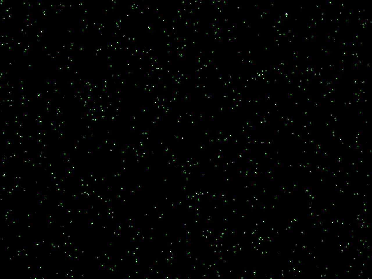 Proteus mirabilis – Logos Biosystems | Advanced Imaging Solutions for ...