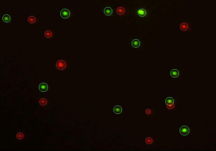 HL-60 (50% viability) – Logos Biosystems | Advanced Imaging Solutions ...