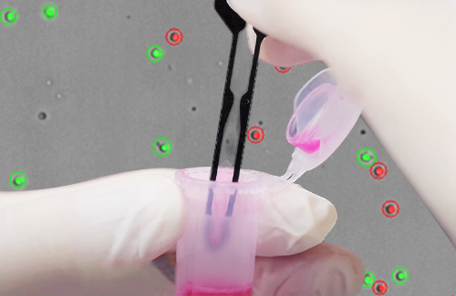 LogosBiosystems_Evaluation-of-the-SpectraSlide®AP-1_thumbnail1