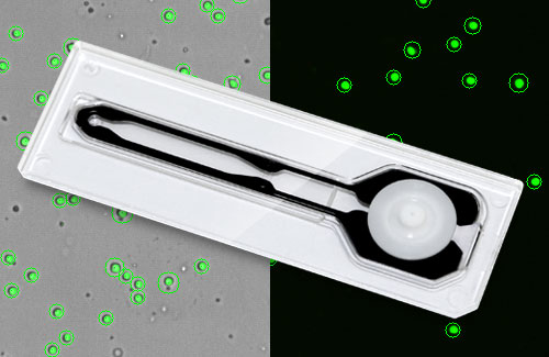 LogosBiosystems_Introducing-the-SpectraSlide®-AP-1_Thumbnail