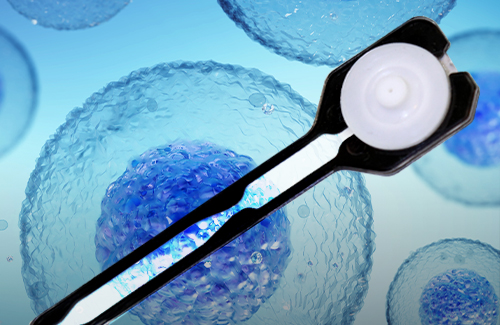 LogosBiosystems_Jurkat cells and HL60 cells_thumbnail