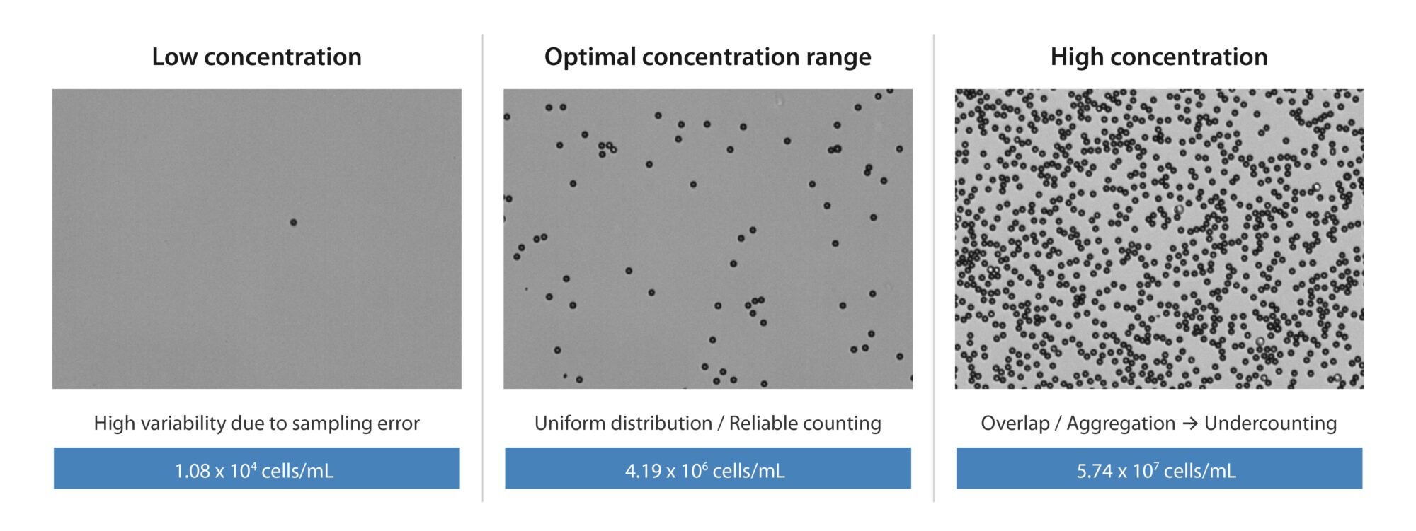 Changes in Cell Distribution and Counting Environment Depending on Sample Condition