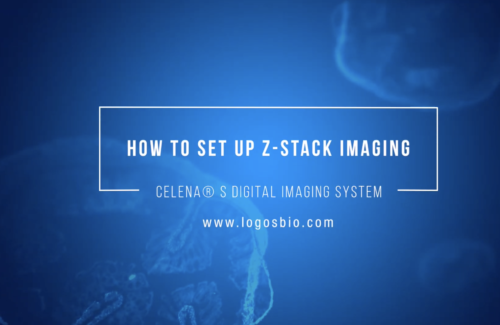 Z-stack imaging on the CELENA® S
